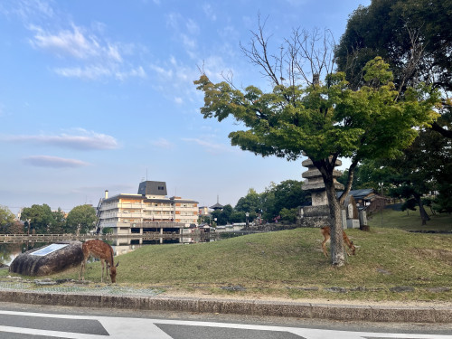 IMG_4080.jpeg