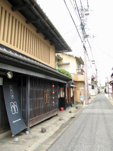 IMG_2913.jpeg