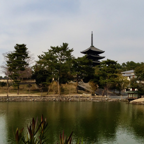 IMG_8350 (1).jpeg