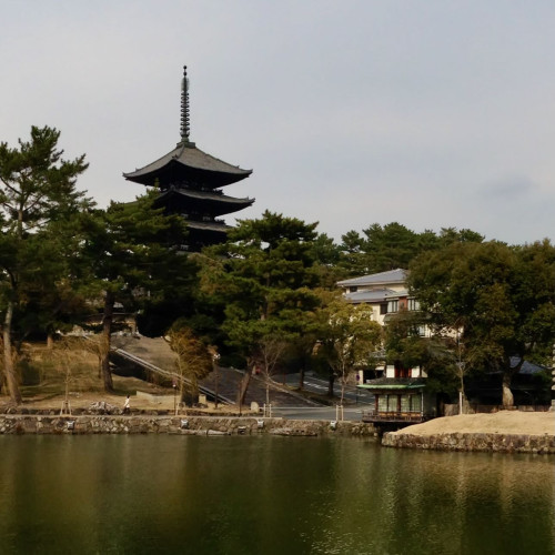 IMG_8350.jpeg