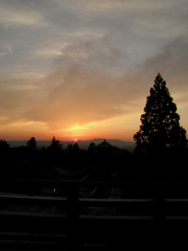 IMG_2293.jpeg