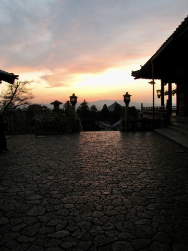 IMG_2319.jpeg