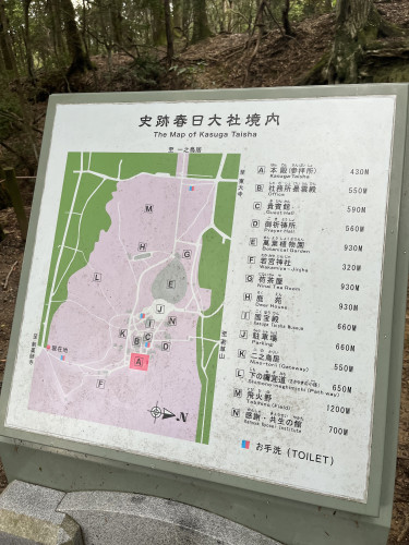 IMG_4377.jpeg