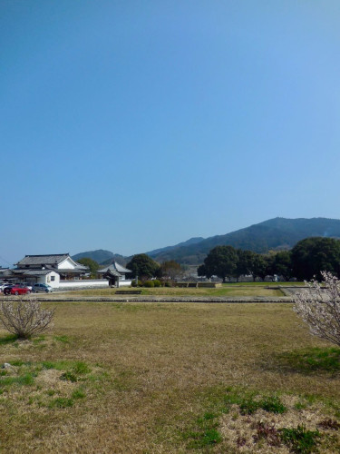 IMG_9625.jpeg