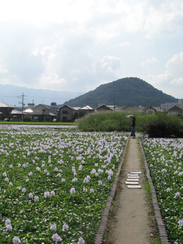 IMG_8894.jpeg
