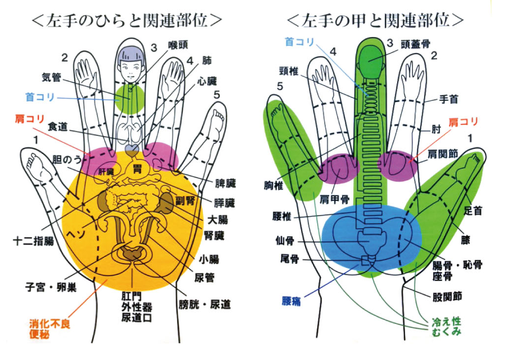 2026年5月15日（金）龍村式指ヨガインストラクター養成講座