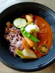 薬膳カレー  テイクアウト