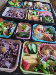 お任せ日替わり弁当