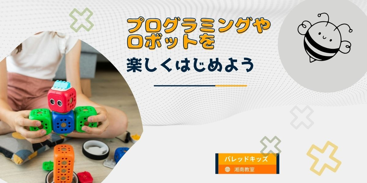 カリキュラム内容