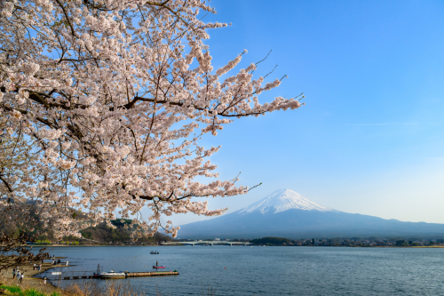 湘南工大付属高校 合格について