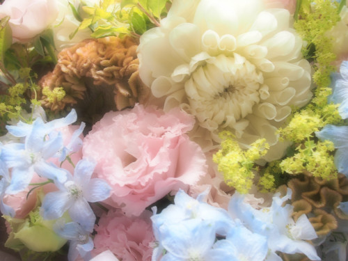 OI004021.JPG
