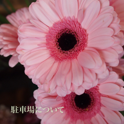 CE6B2451-F89E-4647-9972-8CABB1C7A229.jpeg
