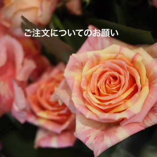 2C0D90CB-68C0-4ECA-A746-4F0E2849C9A3.jpeg
