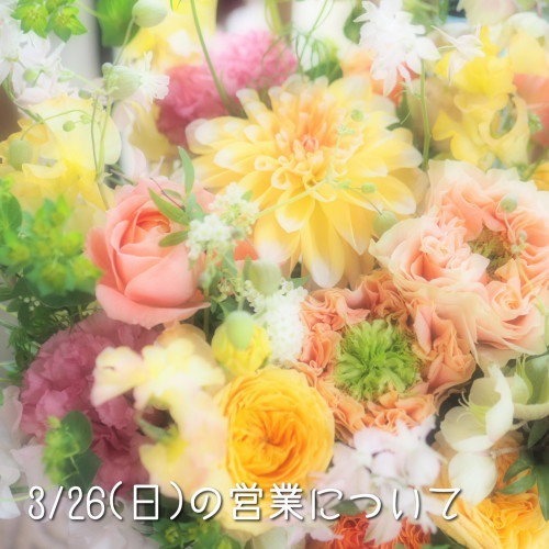 3/26(日)の営業時間について