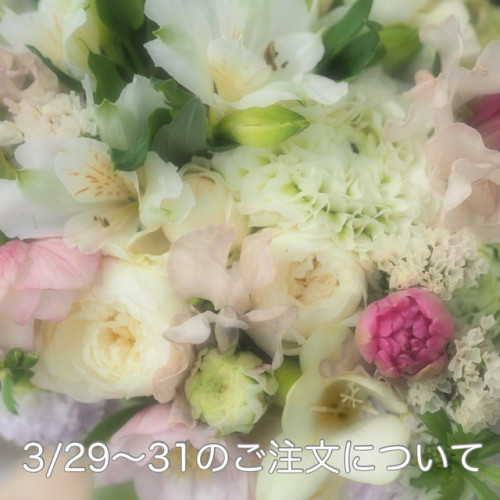813F49B5-3234-4D4B-806C-3E3827B01BCC.jpeg