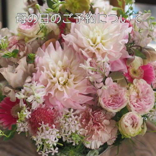 母の日のお花のご予約について(4/28現在)