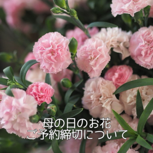 母の日のお花 ご予約締切について(5/8現在)