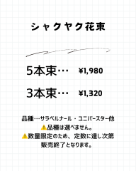 シャクヤク - 2.png