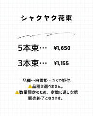 シャクヤク - 2.png