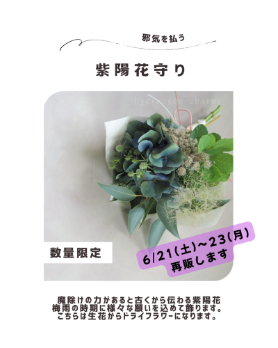 【再販】紫陽花守りを販売します（6/21~23）