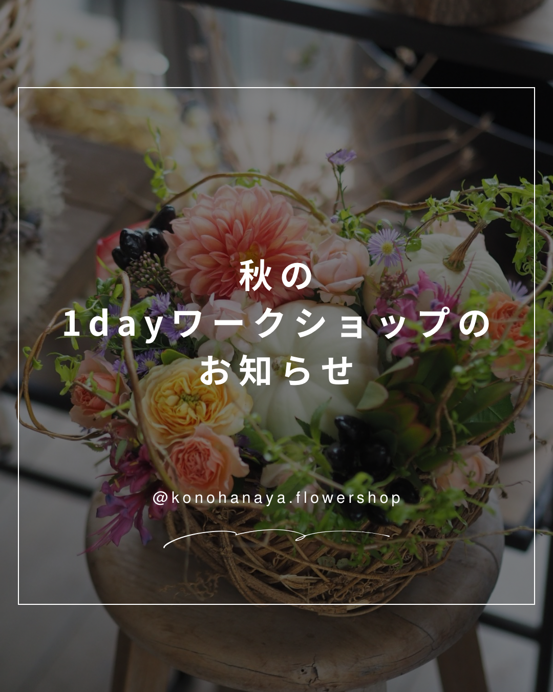 秋の1dayワークショップについて