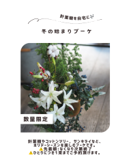 クリスマス企画ブーケ.png