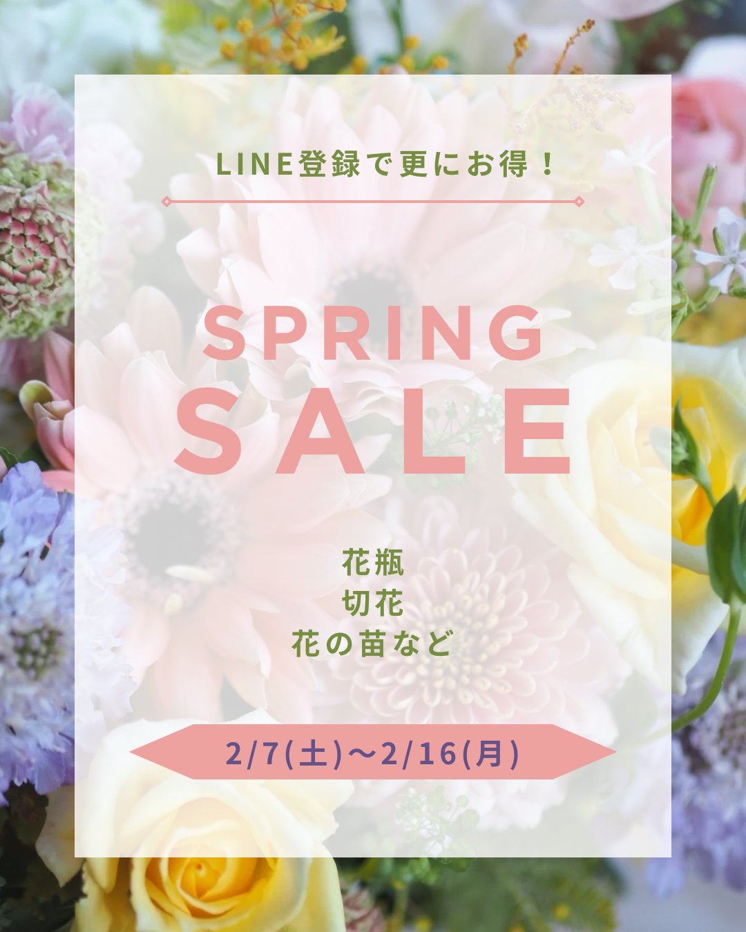 Spring Sale 開催（2/7~16）
