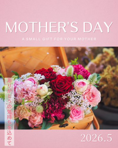 ピンク 白 フェミニン 上品 母の日 Instagram投稿.png