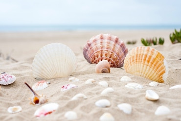 beach-2879929_640.jpg