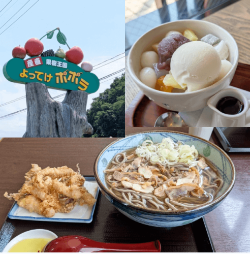 東根、天童〜さくらんぼツアーへ行ってきました！(栄玉堂/ふわっふわどら焼きに感動♪）