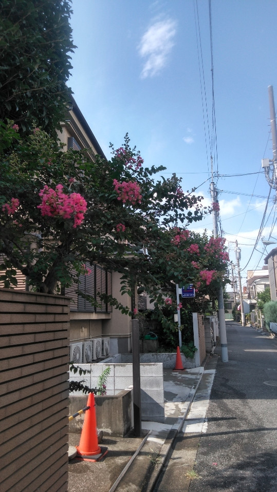 ◆残暑お見舞い申し上げます。◆東京、井川塾・受験英語学院。塾長：井川治久。（２０２５年８月１４日）