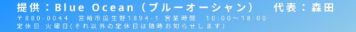 BlueOcean社名バナー.png