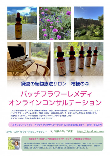 桔梗の森オンラインコンサル.jpg