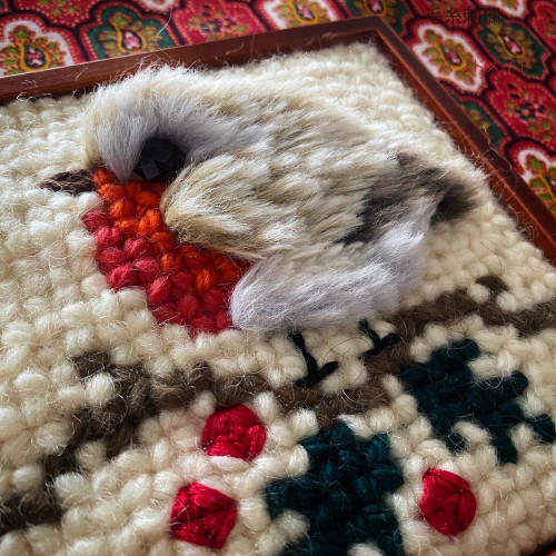 クリスマスバード