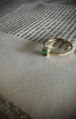 IMG_5477.jpeg