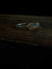 IMG_9843.jpeg