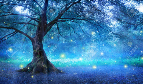 1デイ⭐️zoom⭐️カルナレイキ伝授