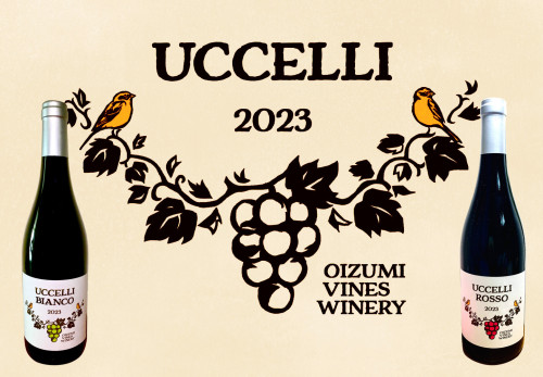 uccelli 2023販売中