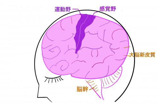 名称未設定のアートワーク.png