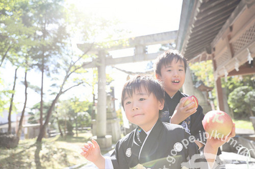 七五三お写真ご紹介