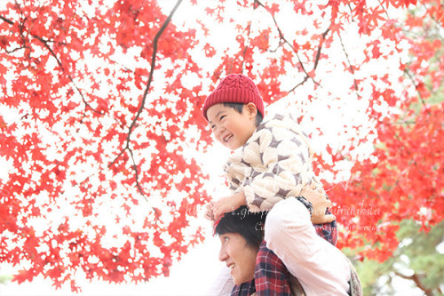 10月16日９時からご予約開始・１１月「千秋公園紅葉ロケ」