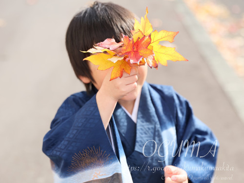 男の子七五三出張撮影お写真