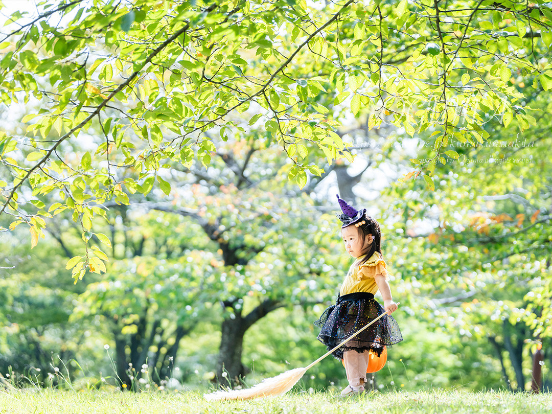 5月6月ロケーションフォト特別価格のお知らせ