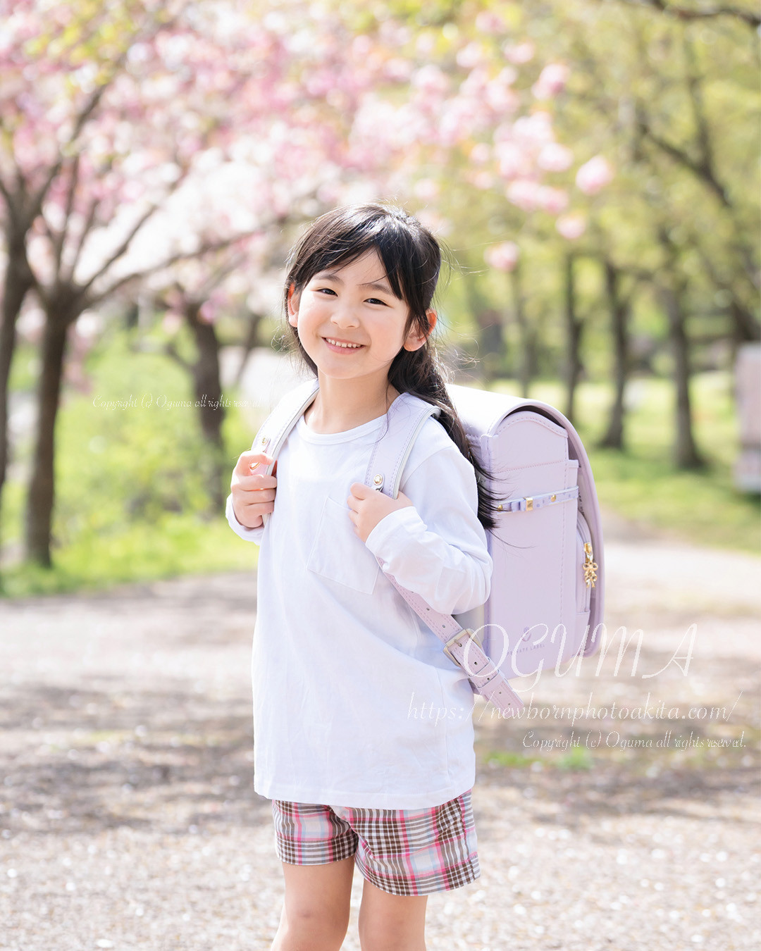 5月3日土　桜撮影会お知らせ