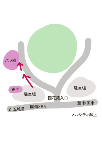 バラ園.jpg