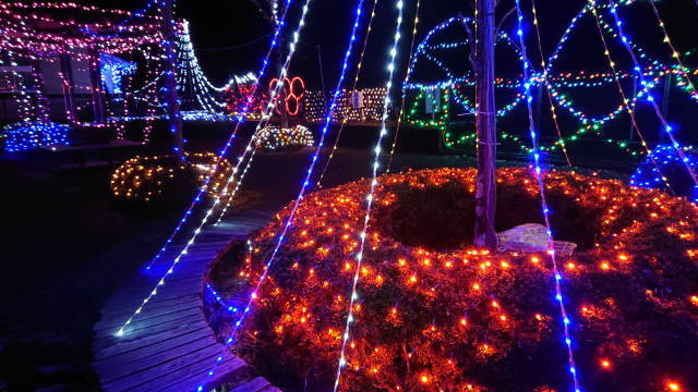 各駅イルミネーション