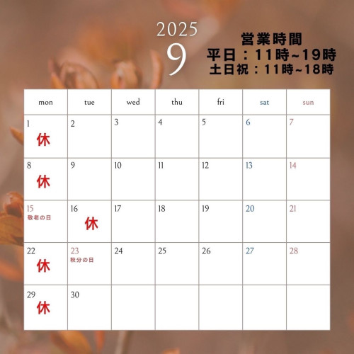 S__49234154.jpg