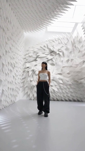 631833528_882333211382122_2229729848492046485_n (1).jpg