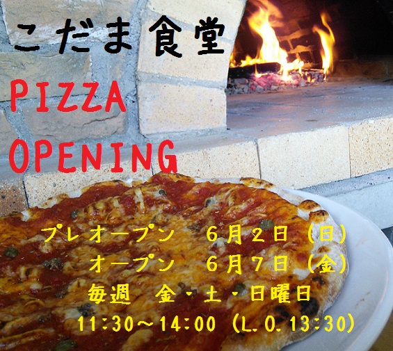 pizza おしらせ　7.jpg