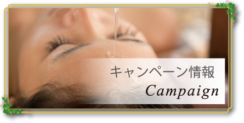 キャンペーン情報